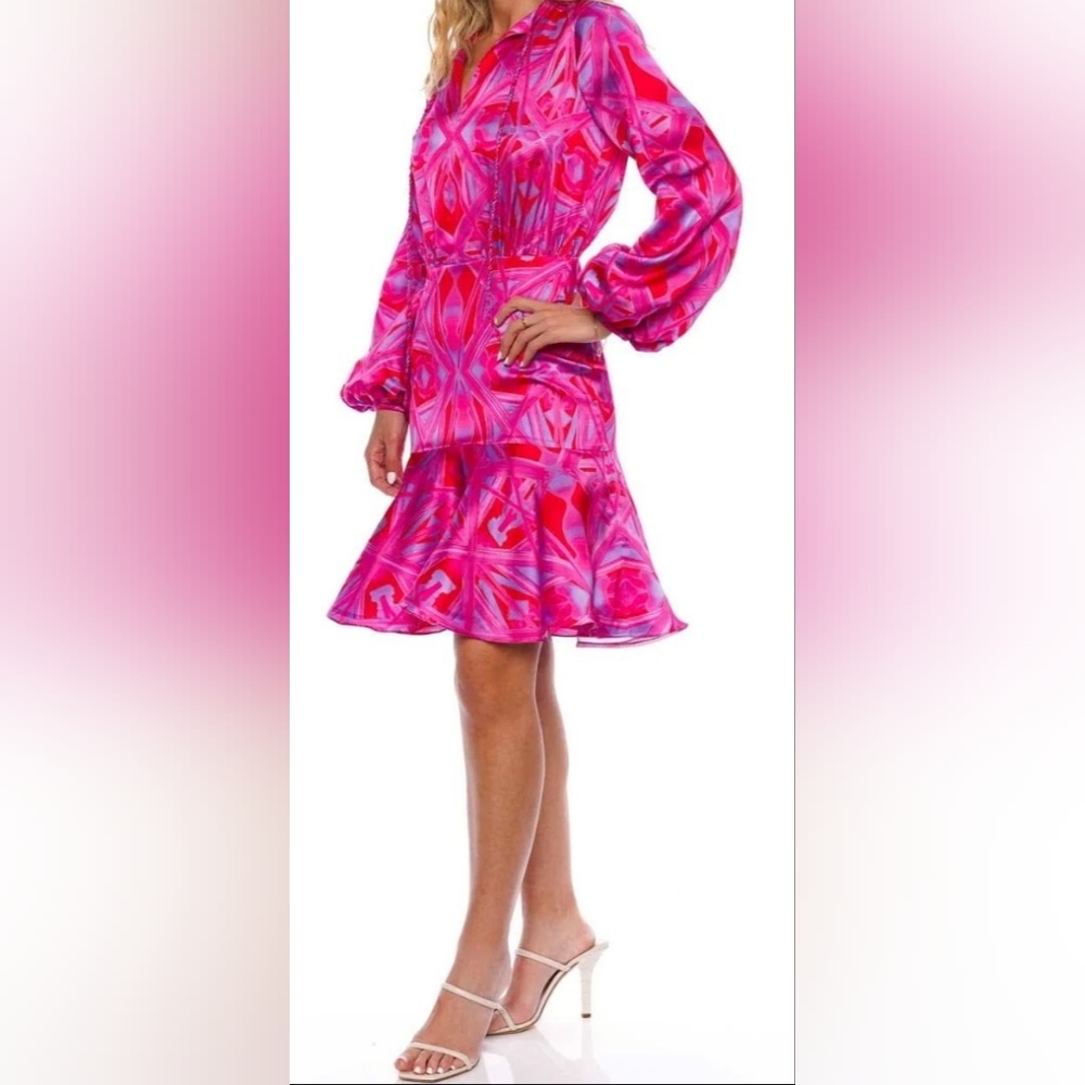 Silvia Tcherassi Sill Fiorenza Printed Minidress MED
